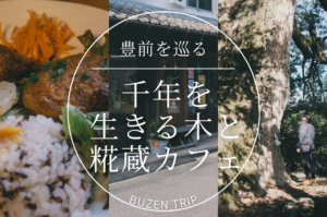 [寄稿] ジモッシュ！にて「豊前を巡る。─ 千年を生きる木と、糀蔵カフェでいただく手作りごはん」を取材執筆しました