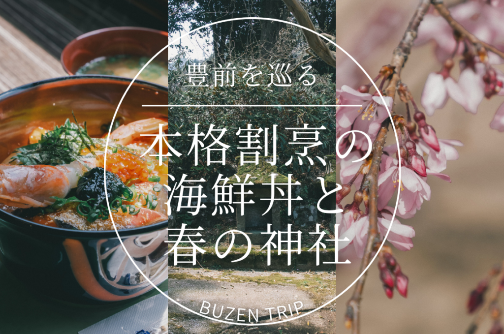 豊前を巡る。─ 生け簀割烹で味わう本格海鮮丼と、春の光に包まれる神社めぐり