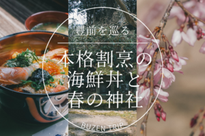 豊前を巡る。─ 生け簀割烹で味わう本格海鮮丼と、春の光に包まれる神社めぐり